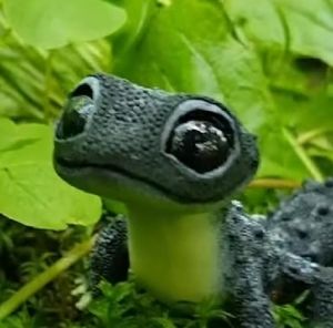 Meet your Posher, Aldana